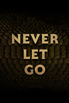 Never Let Go