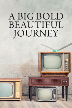 A Big Bold Beautiful Journey