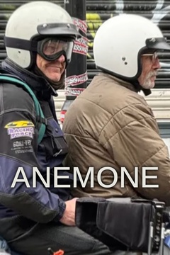 Anemone