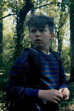 The Wildman of Shaggy Creek